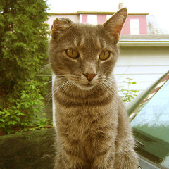 the road to hell is paved with candy apples
