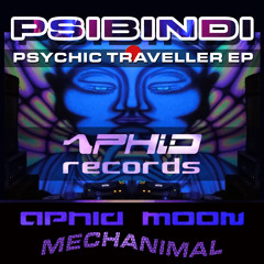 Psibindi & Mechanimal - Chromatic Space