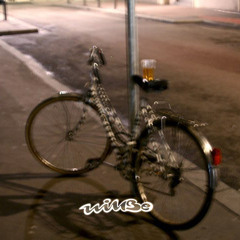 Zebra bike