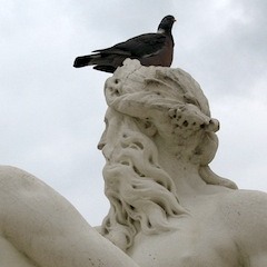 Wol and Weeps - How's the Sky?