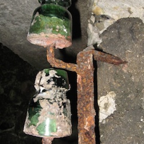 Fuzzoid - Buzzoboe