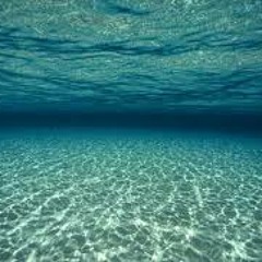 G.E.N.E. - Swimming Souls