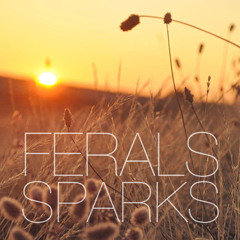 Ferals,  World At Large (Modest Mouse cover)