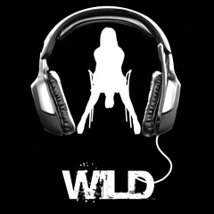 Dj Wild - 2 Spi Live 27.4.2010 R'n'B Old School