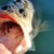 Artwork for Bass Catcher