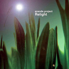 Ananda Project - Shouldn't have left me