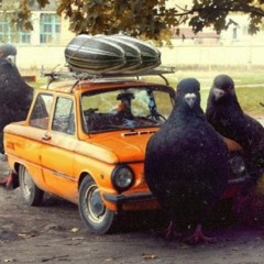 Steffen l - pursuit of happyness