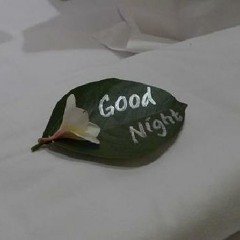 Another Sweet Good Night