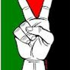 With u palestine