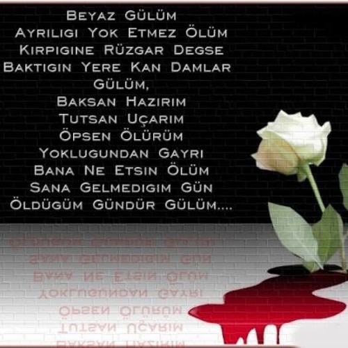 Azer BuLbuL - BiLe BiLe Yaktin