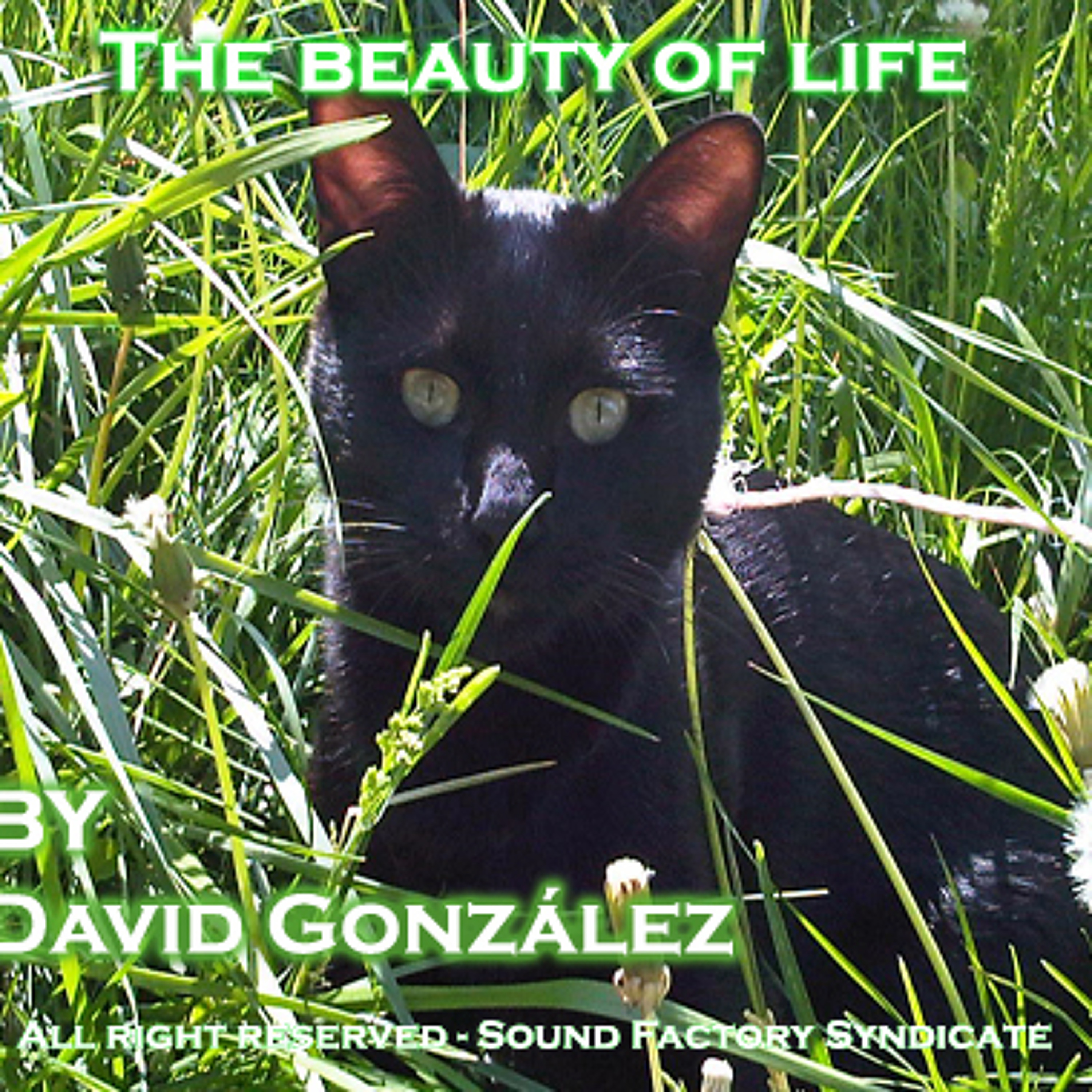 David González AKA Dmonick