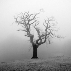 Ambient Mix