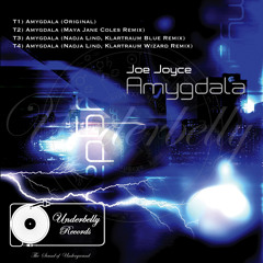 Amygdala EP (Joe Joyce-Jobe) - Maya Jane Coles Remix - Underbelly Records