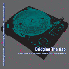Bridging The Gap feat. DJ Sean Haley