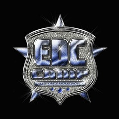 She will Remix - Snippet - ( Its EDC)