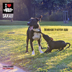 Sax - Řekni kde ty kytky jsou (original mix)