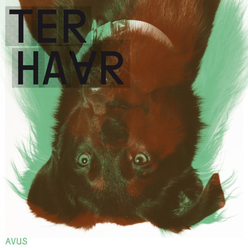Ter Haar - Avus