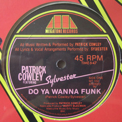 RoDneY SteEd - Do you wanna Funk BoOtlEg (Free Download!!!!!!!)