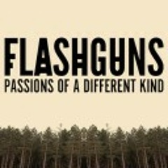 Flashguns - Sounds of the Forest