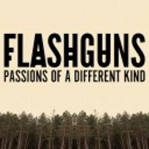 Flashguns - Sounds of the Forest
