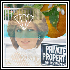MIX: THE DIANA FRANCES GOOMBA WAVE MIXTAPE