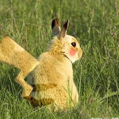 Drum n Bass Mix on 1210's