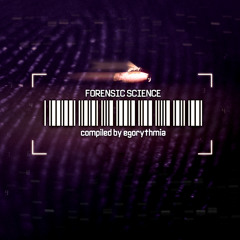 09. Phaxe - Flying Circus