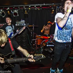 The No Nothing (Sample)