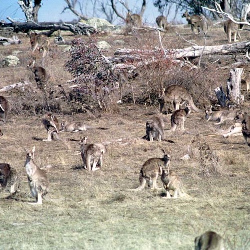 Stream Culled By BendingSpoons Listen Online For Free On SoundCloud Stream Culled By BendingSpoons Listen Online For Free On SoundCloud