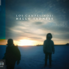 Los Campesinos! - By Your Hand