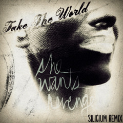 She Wants Revenge - Take The World (Silicium Remix)
