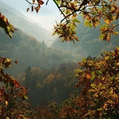 MDWWR #70- Diplo's Triple J Radio Mix