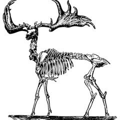 Headlock Funny Talk (Imogen Heap vs. Mr. Skeleton & B.h(a)ve.)