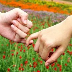 Sadakny Ya Sahby melody4arab.com