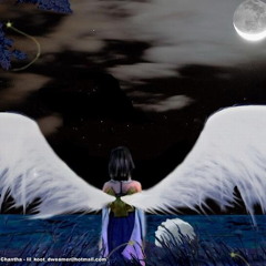 FU SHUI NAN SHOU REMIX