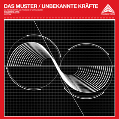 Das Muster - Die Verlorenen (TF36)