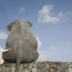 Kmg ft Brux - Family (Milez beatz) (Ed Sheeran)