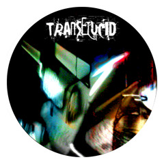 Rotative expansion-WIN-transelucid 05