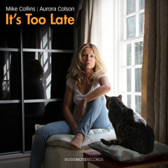 It's Too Late (Radio Mix)- Mike Collins & Aurora Colson