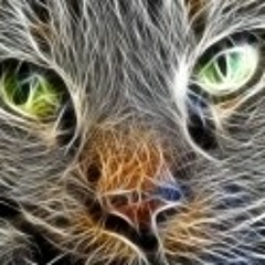 In Your Eyes (Peter Gabriel Cover)