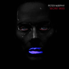 Peter Murphy - Gaslit