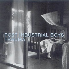 post industrial boys - land of flowers