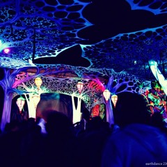 Earthdance Cape Town 2011