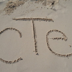 cTe Ft Dj Flawless - New Jersey Love