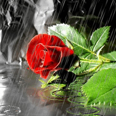 Makin' Love In The Rain (Prod. By V On Da Beat)