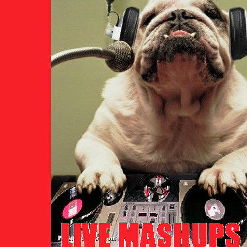 LIVE MASHUP MIXTAPE 2011 BY DJ LK