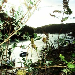 Indistinction Of The World Behind