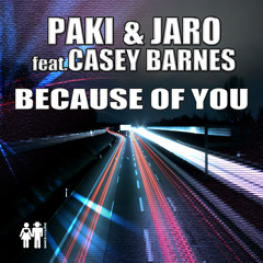 Paki & Jaro feat. Casey Barnes - Because Of You (Plusmode RMX)_preview