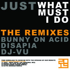 FREE DL Just - What Must I Do (Bunny on Acid Remix)