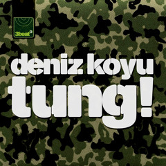 Deniz Koyu - Tung! (Club Mix)